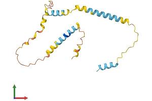 AlphaFold protein structure predicition of Human Recombinant HMGN2P46 Protein, UniprotID Q86SG4 (C15orf21 Protein (AA 1-172) (His tag))