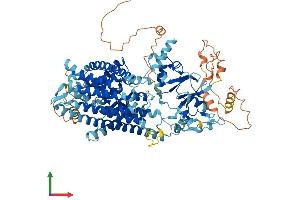 AlphaFold protein structure predicition of Human Recombinant CLCN6 Protein, UniprotID P51797