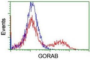 Image no. 1 for anti-Golgin, RAB6-Interacting (GORAB) (AA 35-394) antibody (ABIN1491440)