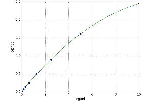 Prokineticin Receptor 1 (PROKR1) ELISA Kit