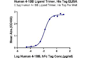 Immobilized Human 4-1BB Ligand Trimer, His Tag at 1 μg/mL (100 μL/Well) on the plate. (TNFSF9 Protein (AA 71-254, Trimer) (His tag))