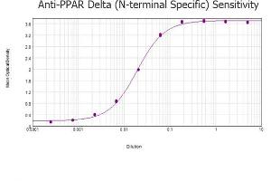 ELISA results of purified Rabbit anti-PPAR Delta (N-terminal specific) Antibody tested against BSA-conjugated peptide of immunizing peptide. (PPARD antibody  (N-Term))
