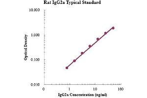 ELISA image for IgG2a ELISA Kit (ABIN4993803) (IgG2a ELISA Kit)