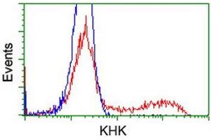 HEK293T cells transfected with either RC202424 overexpress plasmid (Red) or empty vector control plasmid (Blue) were immunostained by anti-KHK antibody (ABIN2453198), and then analyzed by flow cytometry.