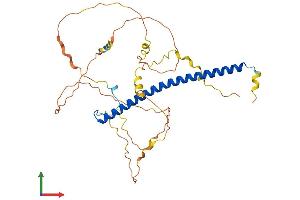 AlphaFold protein structure predicition of Human Recombinant CEBPB Protein, UniprotID P17676