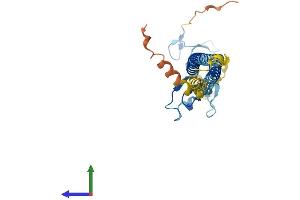 Protein Structure (PS) image for Tripartite Motif Containing 40 (TRIM40) (AA 1-258) protein (His tag) (ABIN7544746)