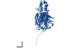 AlphaFold protein structure predicition of Human Recombinant KLHL12 Protein, UniprotID Q53G59