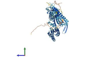 AlphaFold protein structure predicition of Human Recombinant MCOLN1 Protein, UniprotID Q9GZU1