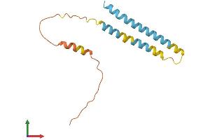 Protein Structure (PS) image for Interferon Induced Transmembrane Protein 2 (IFITM2) (AA 1-132) protein (His tag) (ABIN7554172)