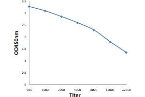 Antigen: 0. (KIF20A antibody  (AA 353-450))