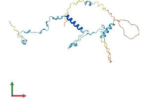 AlphaFold protein structure predicition of Human Recombinant POLR3G Protein, UniprotID O15318 (POLR3G Protein (AA 1-223) (His tag))