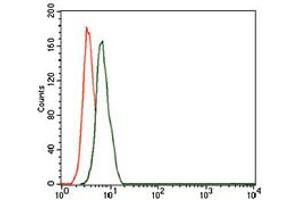 Image no. 4 for anti-CD59 (CD59) antibody (ABIN1491388) (CD59 antibody)