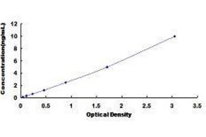 Myosin Light Chain Kinase (MYLK) ELISA Kit