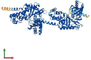 Protein Structure (PS) image for Hexokinase 1 (HK1) (AA 1-917) protein (His tag) (ABIN7548419)