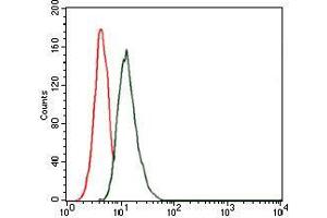 Flow cytometric analysis of MCF-7 cells using THPO mouse mAb (green) and negative control (red). (Thrombopoietin antibody)