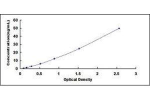 Typical standard curve (CAPN1 ELISA Kit)