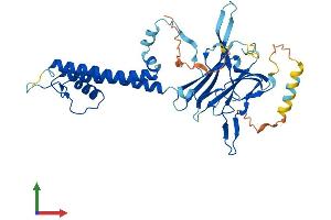 AlphaFold protein structure predicition of Human Recombinant KCNJ10 Protein, UniprotID P78508