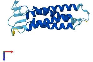 AlphaFold protein structure predicition of Human Recombinant EMP1 Protein, UniprotID P54849 (EMP1 Protein (AA 1-157) (His tag))