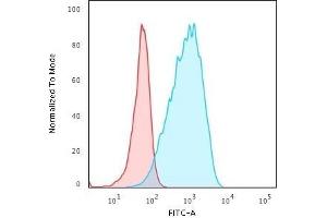 Flow Cytometric Analysis of Raji cells HLA-DP Rabbit Recombinant Monoclonal Antibody (HLA-DPB1/2862R) followed by goat anti-Rabbit IgG-CF488 (Blue); Isotype Control (Red). (Recombinant HLA-DPB1 antibody)