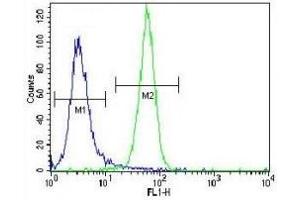 NRAS antibody flow cytometric analysis of NCI-H460 cells (green) compared to a negative control (blue). (GTPase NRas antibody  (AA 72-101))