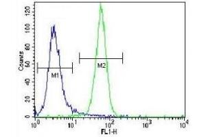 NRAS antibody flow cytometric analysis of NCI-H460 cells (green) compared to a negative control (blue).