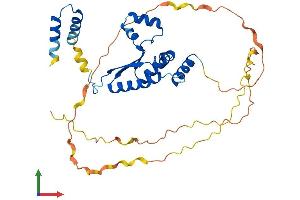 AlphaFold protein structure predicition of Human Recombinant KHDRBS2 Protein, UniprotID Q5VWX1