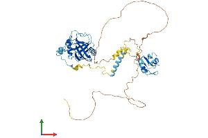 AlphaFold protein structure predicition of Human Recombinant PPIL4 Protein, UniprotID Q8WUA2 (PPIL4 Protein (AA 1-492) (His tag))