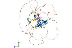 AlphaFold protein structure predicition of Mouse Recombinant Akap17b Protein, UniprotID A2A3V1 (AKAP17B Protein (AA 1-959) (His tag))