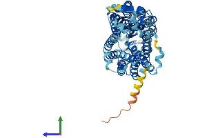 AlphaFold protein structure predicition of Mouse Recombinant Slc22a27 Protein, UniprotID Q76M72 (Slc22a27 Protein (AA 1-551) (His tag))
