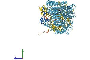 AlphaFold protein structure predicition of Mouse Recombinant Naip5 Protein, UniprotID Q9R016 (Naip5 Protein (AA 1-1403) (His tag))