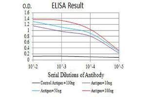 Black line: Control Antigen (100 ng),Purple line: Antigen (10 ng), Blue line: Antigen (50 ng), Red line:Antigen (100 ng) (CD3G antibody  (AA 23-116))