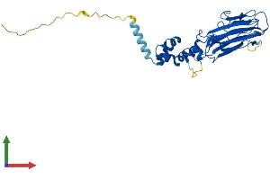 AlphaFold protein structure predicition of Human Recombinant FBXO2 Protein, UniprotID Q9UK22