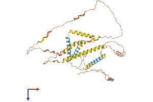 AlphaFold protein structure predicition of Human Recombinant NPIPB6 Protein, UniprotID E9PJ23 (NPIPB6 Protein (AA 1-425) (His tag))