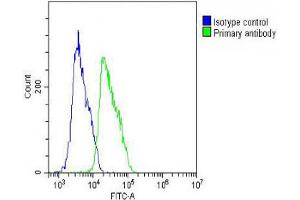 Overlay histogram showing MCF-7 cells stained with Antibody (green line). (ELAVL1 antibody)