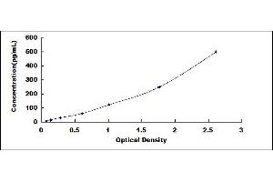 Typical standard curve (IL-10 ELISA Kit)