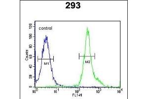 TSN3 Antibody (Center) (ABIN651749 and ABIN2840386) flow cytometric analysis of 293 cells (right histogram) comred to a negative control cell (left histogram). (Tetraspanin 3 antibody  (AA 90-117))