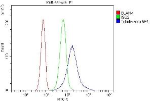 Flow Cytometry analysis of SiHa cells using anti- Beta Tubulin antibody (ABIN7602743). (TUBB antibody  (C-Term))