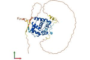 Protein Structure (PS) image for Speedy Homolog A (SPDYA) (AA 1-313) protein (His tag) (ABIN7546269)