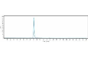 anti-Protein Phosphatase 1, Regulatory Subunit 3A (PPP1R3A) antibody