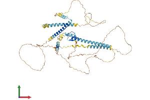 AlphaFold protein structure predicition of Mouse Recombinant Gatad2b Protein, UniprotID Q8VHR5
