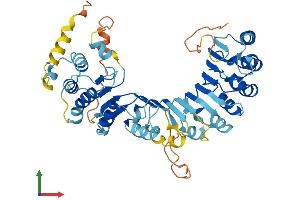 AlphaFold protein structure predicition of Human Recombinant PRAMEF10 Protein, UniprotID O60809 (PRAMEF10 Protein (AA 1-474) (His tag))