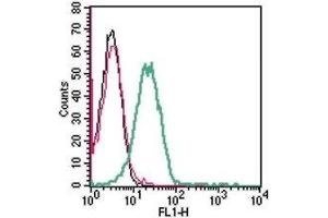 Cell surface detection of GPR174 in live intact human Jurkat T-cell leukemia cells: (black line) Cells. (GPR174 antibody  (Extracellular))
