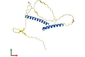 AlphaFold protein structure predicition of Mouse Recombinant Neurog3 Protein, UniprotID P70661