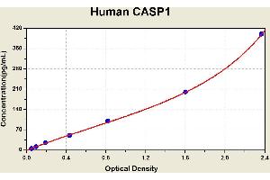 Diagramm of the ELISA kit to detect Human CASP1with the optical density on the x-axis and the concentration on the y-axis. (Caspase 1 ELISA Kit)