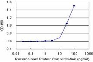 NUMB (Human) Matched Antibody Pair