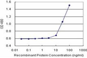 Sandwich ELISA detection sensitivity ranging from 10 ng/mL to 100 ng/mL. (NUMB (Human) Matched Antibody Pair)