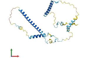 Protein Structure (PS) image for Leukocyte Receptor Cluster (LRC) Member 1 (Leng1) (AA 1-261) protein (His tag) (ABIN7561267)