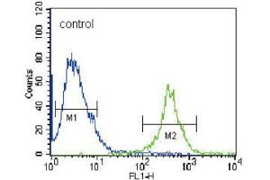 Flow Cytometry (FACS) image for anti-Fyn-Related Kinase (FRK) antibody (ABIN3003444) (FRK antibody)