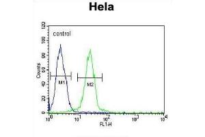 Flow Cytometry (FACS) image for anti-Ewing Sarcoma Breakpoint Region 1 (EWSR1) antibody (ABIN3003929) (EWSR1 antibody)