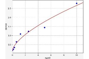 Typical standard curve (Glutamate Receptor 1 ELISA Kit)